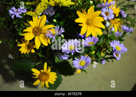 Blumenstrauß aus wunderschönen wilden ukrainischen Wildblumen mit einer Seele aus der Steppe der Ukraine. Stockfoto