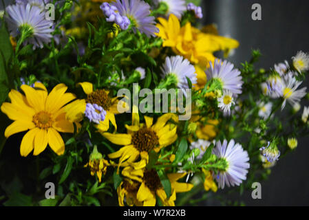 Blumenstrauß aus wunderschönen wilden ukrainischen Wildblumen mit einer Seele aus der Steppe der Ukraine. Stockfoto