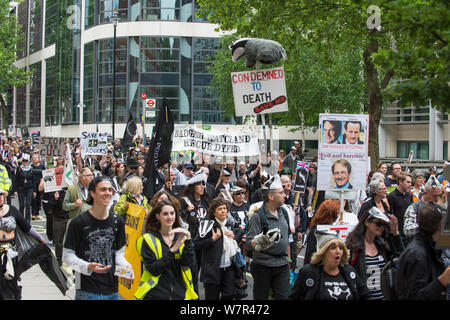 Gruppe von Demonstranten im anti Badger cull März, London, 1. Juni 2013 Stockfoto