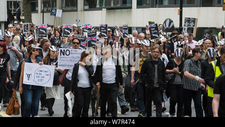 Gruppe von Demonstranten im anti Badger cull März, London, 1. Juni 2013 Stockfoto