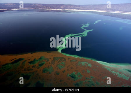 Lake Assal Shoreline - Africas niedrigsten Punkt in 515 Meter unter dem Meeresspiegel, Dschibuti, März 2008 Stockfoto