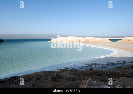 Lake Assal - Africas niedrigsten Punkt in 515 Meter unter dem Meeresspiegel, mit dichten Konzentrationen des Salzes auf der Küstenlinie - Djiboutim, März 2008 Stockfoto