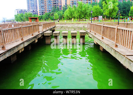 Blick auf einen Ausbruch der blau-grünen Algen auf den Chaibo See in Wuhan City, der Provinz Hubei in Zentralchina, 3. Juni 2017. Ein Ausbruch der Blau-grünen Alg Stockfoto