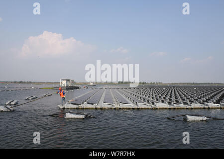 Anzeigen von Sonnenkollektoren in der weltweit größten schwimmenden Solaranlage mit einer Kapazität von 40 Megawatt Energie in der Stadt Huainan, East China Anhui Stockfoto