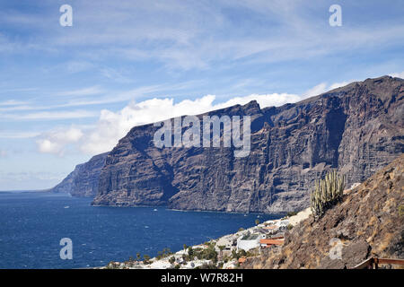 Felsen von Los Gigantes, mit Hercules Club/Kanaren Wolfsmilch (Euphorbia canariensis) auf einem Hügel in den Vordergrund, Teneriffa, Kanarische Inseln, Spanien, März. Stockfoto