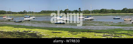 Panoramablick von Chichester Harbour, ein beliebtes Segelrevier in West Sussex, UK. Zeigt Chichester Kanal in der Nähe von Dell Kai bei Ebbe. Stockfoto