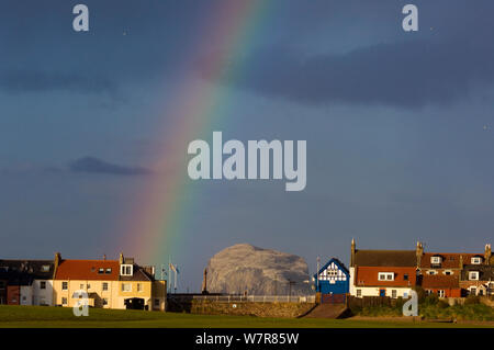 Regenbogen und Sturmwolken über Küstenort North Berwick, mit Bass Rock in der Ferne, das ist der Nährboden für 140.000 Tölpel, Firth-of-Forth, Schottland, UK, Mai Stockfoto