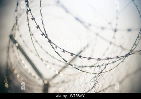 Stacheldraht metall draht unter elektrische Spannung wird in eine Spirale auf ein Gitter aus Metall zaun Wunde, der sich gegen die weißen Himmel Stockfoto