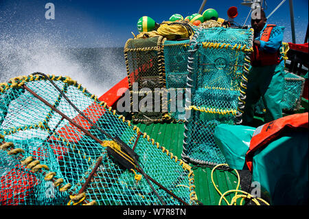 Angelockte Hummerfallen West Coast Rock Lobster (Jasus lalandii) Saldanha Bay und St. Helena Bay, Western Cape, Südafrika zu fangen. Stockfoto