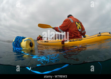 Mann der Sportfischerei von einem Kajak für West Coast Rock Lobster (Jasus lalandii) Kommetjie, Western Cape, Südafrika Stockfoto