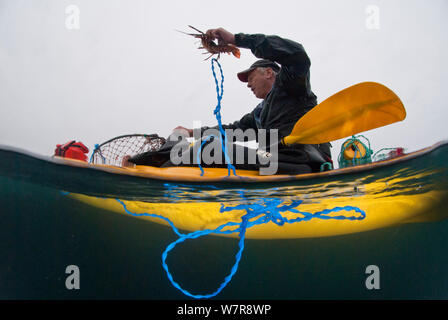 Mann der Sportfischerei von einem Kajak für West Coast Rock Lobster (Jasus lalandii). Kommetjie, Western Cape, Südafrika Stockfoto