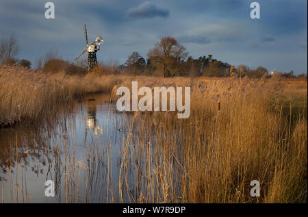 Boardmans Windpump, wie Hügel, Norfolk, Februar 2013 Stockfoto