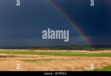 Regenbogen über Cley Nature Reserve, North Norfolk. Mai 2013 Stockfoto