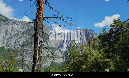 Yosemite Falls, Blick von 4 Meile Versuch, Yosemite National Park, Kalifornien, USA Stockfoto