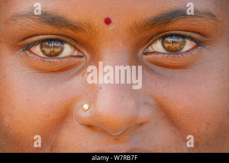 Mädchen mit Bindi und Nasenpiercing, Tongal Dorf, Pulicat See, Tamil Nadu, Indien, Januar 2013. Stockfoto