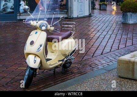 Vespa Roller Parket in den Straßen der Stadt, beliebte städtischer Verkehr, bekannte Marke aus Italien, Alphen aan den Rijn, 12 Februar, 2019, Die Niederlande Stockfoto