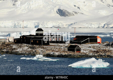 Gonzalez Videla Station durch Eselspinguine (Pygoscelis papua) Chile umgeben. Antarktische Halbinsel, Antarktis Stockfoto