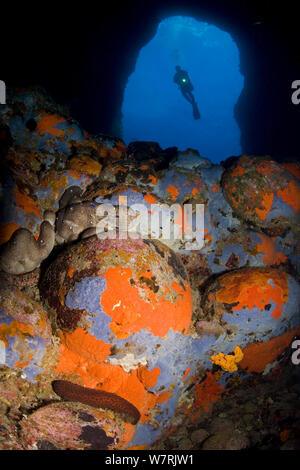 Scuba Diver in Höhlen und Felsen mit Schwämmen, Insel Ponza, Italien, Tyrrhenische Meer, Mittelmeer Stockfoto