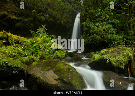 Wasserfall in der Ambua Wald. Southern Highlands, Papua Neuguinea Stockfoto