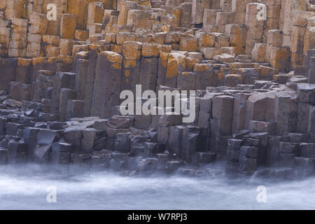 Nebel um die basaltsäulen der Giant's Causeway, Weltkulturerbe der UNESCO, County Antrim, Nordirland, Europa, Juni 2011 Stockfoto