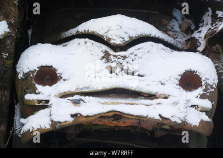 Altes Auto im Schnee in 'Auto Friedhof 'Bastnas, Schweden, Dezember Stockfoto