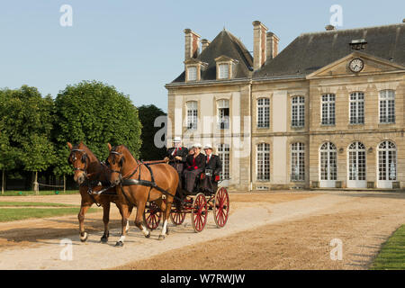 Zwei traditionell gekleidete Paare fahren zwei Delémont Pferde, zu einem phaeton genutzt, im Ehrenhof des Haras du Pin, Frankreich die älteste National Stud, bei Le Pin-au-Haras, Calvados, Basse-Normandie, Frankreich. Juli 2013 Stockfoto