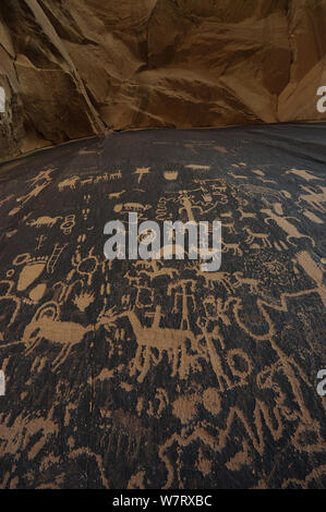 Newspaper Rock, petroglyph Panels in Sandstein eingeprägt, Indian Creek, Utah, USA, Dezember 2012. Stockfoto