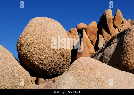 Erodiert Granitfelsen, Joshua Tree National Park, Mojave Wüste, Kalifornien, USA, Januar 2013. Stockfoto