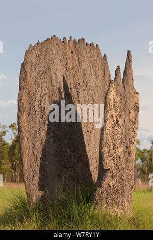 Magnetic Termite (Amitermes meridionalis) Dämme in Grünland, Litchfield National Park, Northern Territory, Australien. Stockfoto