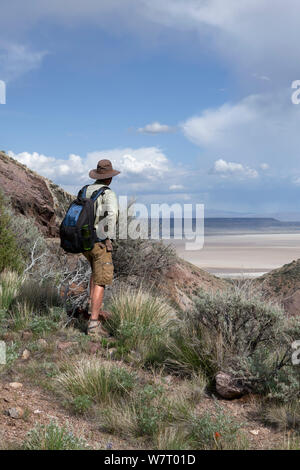 Menschen wandern auf dem Pike Creek Trail in der Steens Mountains Wilderness, Oregon, USA, Mai 2013. Model Released. Stockfoto