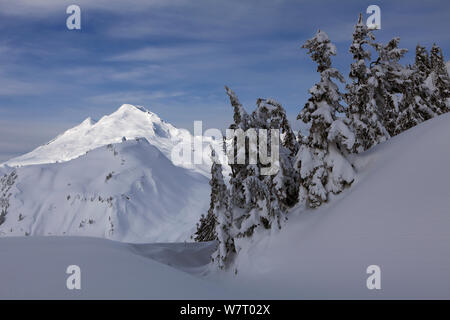 Winter Blick auf Mount Baker vom Artist Point in Heather Lake Recreation Area, Washington, USA. März 2013. Stockfoto