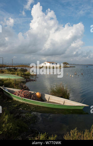 Fischerboot öffnen, St. Louis du Rhone Port, Camargue, Frankreich, Oktober 2012. Stockfoto