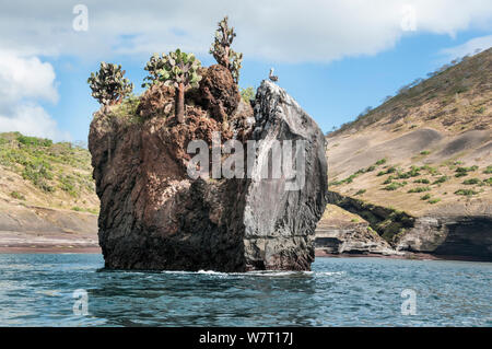 Basaltische lava Plug erodiert, an der Buccaneer Cove, James Island, Galapagos, Ecuador, März 2013. Stockfoto