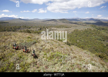 Luftaufnahme eines wildlife Wilderei patrol Unit zu Pferd, Mount Kenya National Park, Kenia Stockfoto