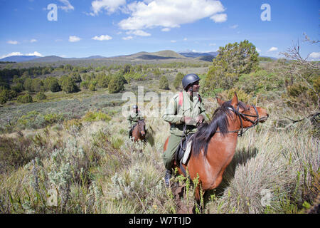 Wildlife Wilderei patrol Unit zu Pferd, Mount Kenya National Park, Kenia Stockfoto