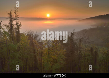 Blick über die Blackmore Vale bei Sonnenaufgang von okeford Hill, Dorset, März 2013. Stockfoto