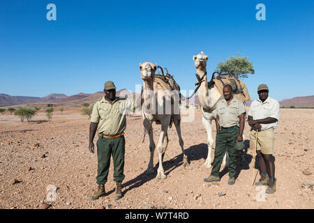 Save The Rhino Trust Camel Camp patrol Team Mitglieder Hans Ganaseb (links) und Dansiekie Ganaseb (rechts), mit SRT Direktor der Feldeinsätze Simson Uri-Khob (Mitte) und Kamele, Kunene Region, Namibia, Mai 2013 Stockfoto