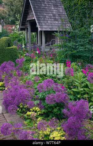 Alliums in Garten und Gartenhaus, Old Vicarage, East Ruston, Norfolk, Juni 2013. Stockfoto