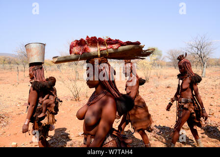 Himba Frauen, Fleisch auf ihre Köpfe. Kaokoveld, Namibia, September 2013. Stockfoto