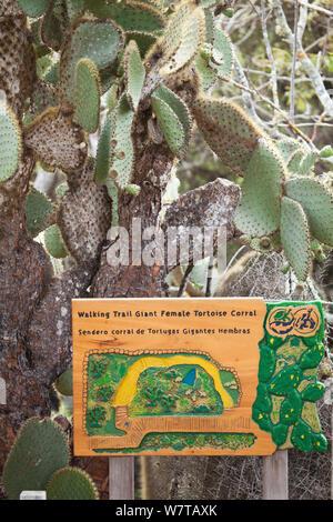 Zeichen für Walking Trail in der Charles Darwin Forschungsstation, mit Opuntia Kakteen, Galapagos Inseln. Stockfoto