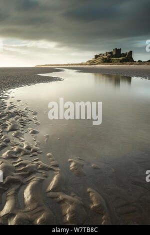 Bamburgh Castle, am frühen Morgen Licht in der Dämmerung, Bamburgh, Northumberland, Großbritannien, April 2013. Stockfoto