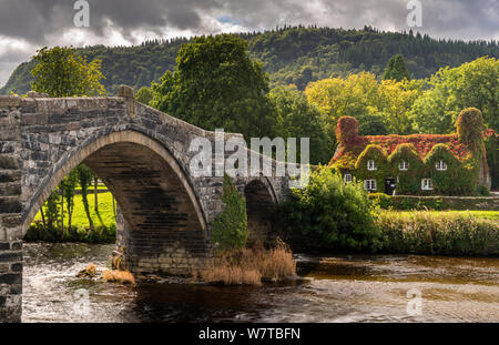 Brücke und Efeu bedeckt Cottage, LLanwrst, Conwy Valley, am Rande des Snowdonia National Park, North Wales, UK, September 2013. Stockfoto