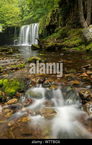 Sgwd Ddwli Uchaf (Obere reißende Wasserfälle) Wasserfall, Pontneddfechan, Powys, Wales, UK, September 2013. Stockfoto