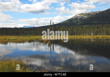Eine Reflexion der schönen Himmel und Wälder in den Wrangell St. Elias National Park in der weiten Wildnis von Alaska, USA Stockfoto