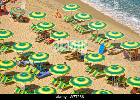 Sonnenschirme am Strand von Tropea in Kalabrien in Süditalien. Stockfoto