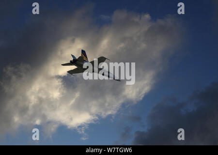 RCAF CF-18 Stockfoto