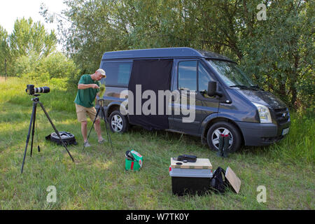 Naturfotograf Ingo Arndt, vor Ort die Bilder von der Ernte Maus (Micromys Minutus) Nest, Ungarn, Juni 2011. Stockfoto