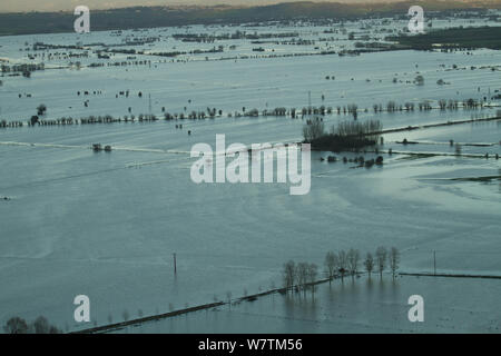 Landwirtschaftliche Flächen auf der Somerset Levels im Januar 2014 Überschwemmungen, mit pollarded Weiden und Pappeln, West Sedgemoor RSPB Reservat, England, UK, 9. Januar 2014. Stockfoto