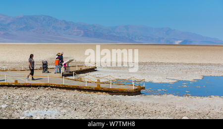 Touristen erkunden Badwater Basin, Death Valley National Park, Kalifornien, USA, März 2013. Stockfoto