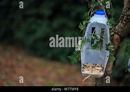 Futterhäuschen im Garten von leeren Plastikflaschen, Norfolk, England, Großbritannien, November 2013. Stockfoto
